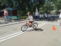 img (9)